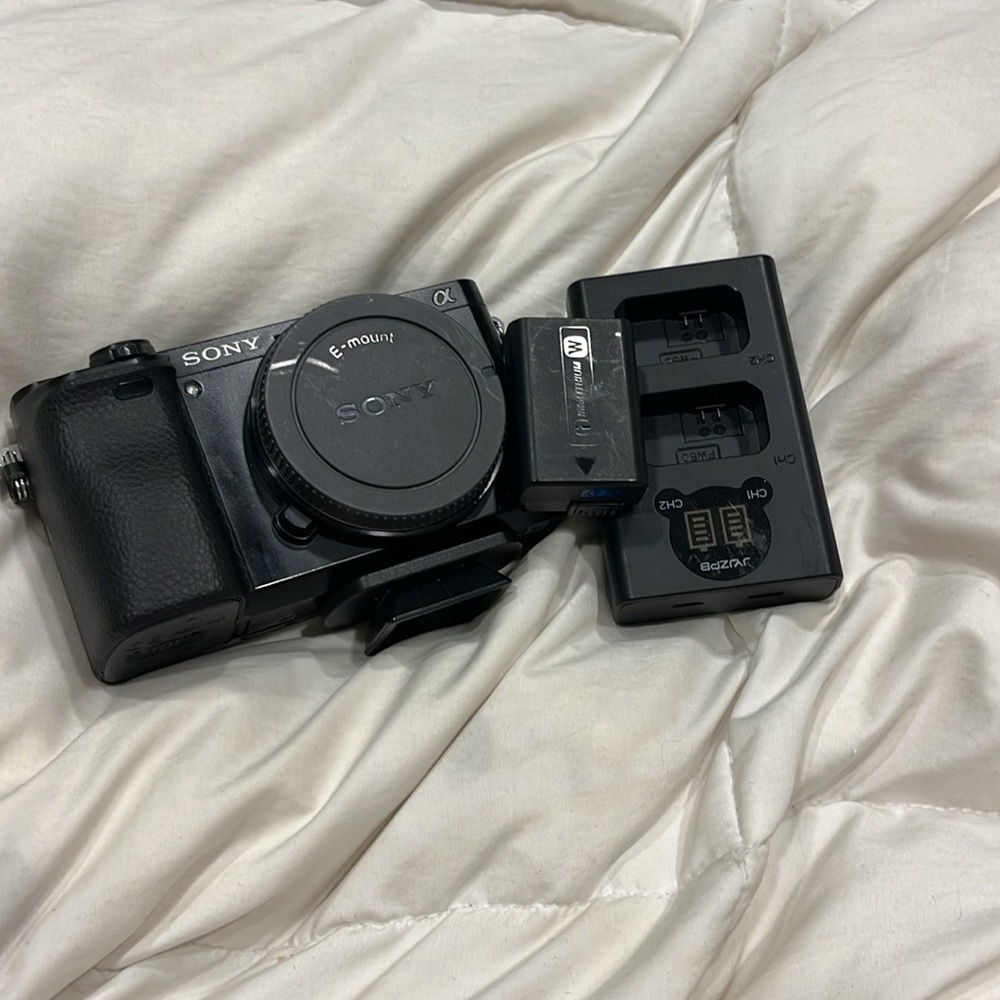 Sony A6000 with 16-50 mm lens